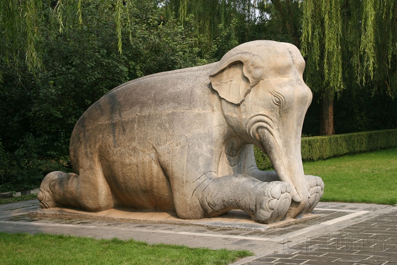 sr15.jpg - Elephant.